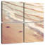 Gillard Paw Prints-109149134