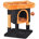Black/Pumpkin Orange