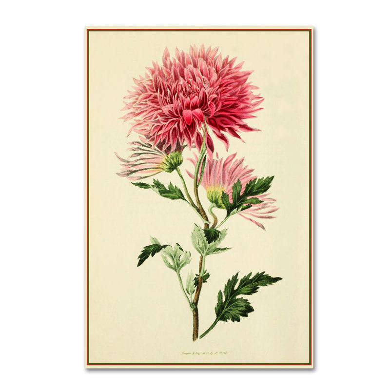 « dahlia », reproduction d’impression sur toile tendue, H 24 po x l 16 po