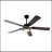 Ceiling Fans with Lights and Remote Control