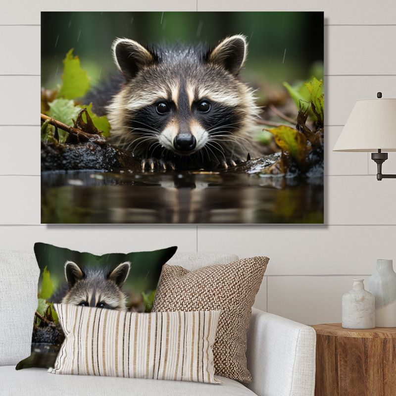 Curious Raccoon I - Animals Canvas Prints, H 12 po x l 20 po x P 1 po, Toile tendue