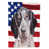 Brun / blanc coonhound sélectionné