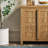 Bateson Modern Storage Accent Cabinet-1735891501