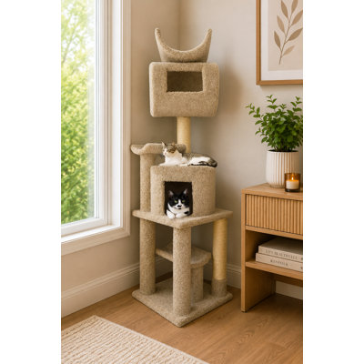 Arbre à chat multi-niveaux New Cat Condos