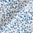 Khaleo 100% Cotton Fabric