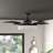 48'' Ceiling Fan with Light Kit-690435869