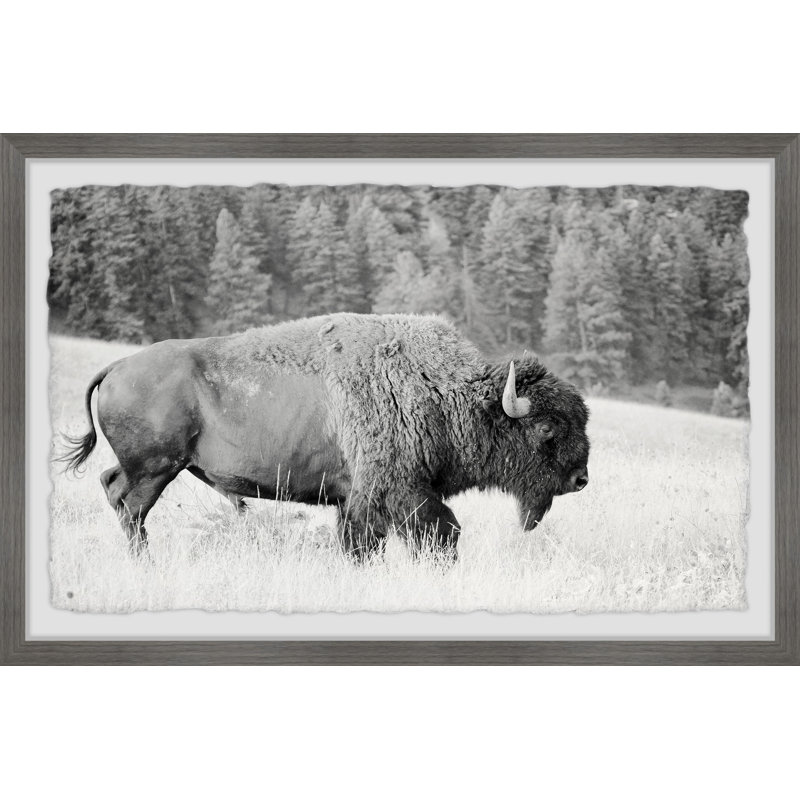 1 Piece Single Picture Frame Wall Art, 20cm H x 30cm W