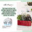 Cube Pot Planter-36478260