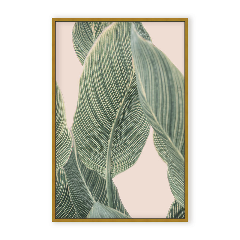 Coastal Retreat Calla Leaf by  - Picture Frame Graphic Art on Paper, 48" H x 32" W x 1.125" D, Framed Matted Print, Beige