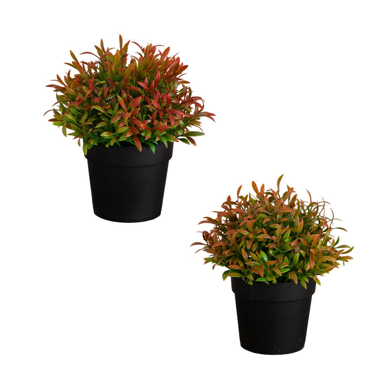 6 po Herbe artificielle en pot noir - ensemble de 2, Assortment 2