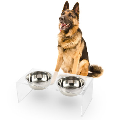 Keaton Modern Lucite Rectangular Elevated Pet Feeder with 2-Stainless Steel Bowls