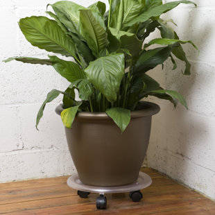Weather Resistant Caddy Plant Stand