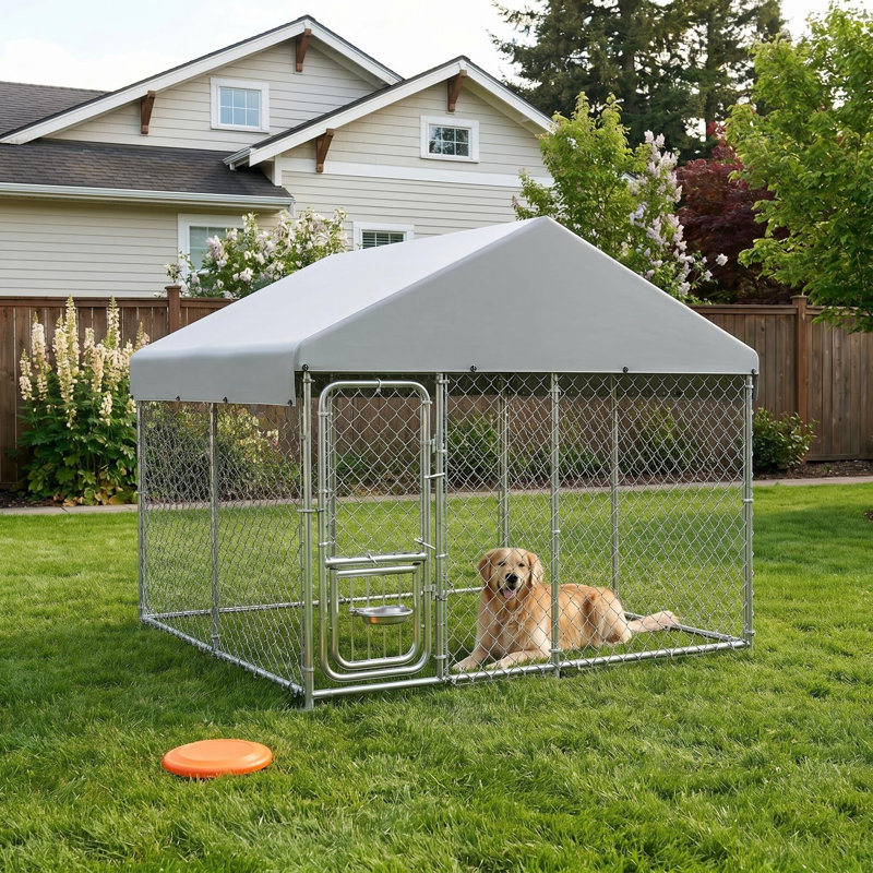 Dog House