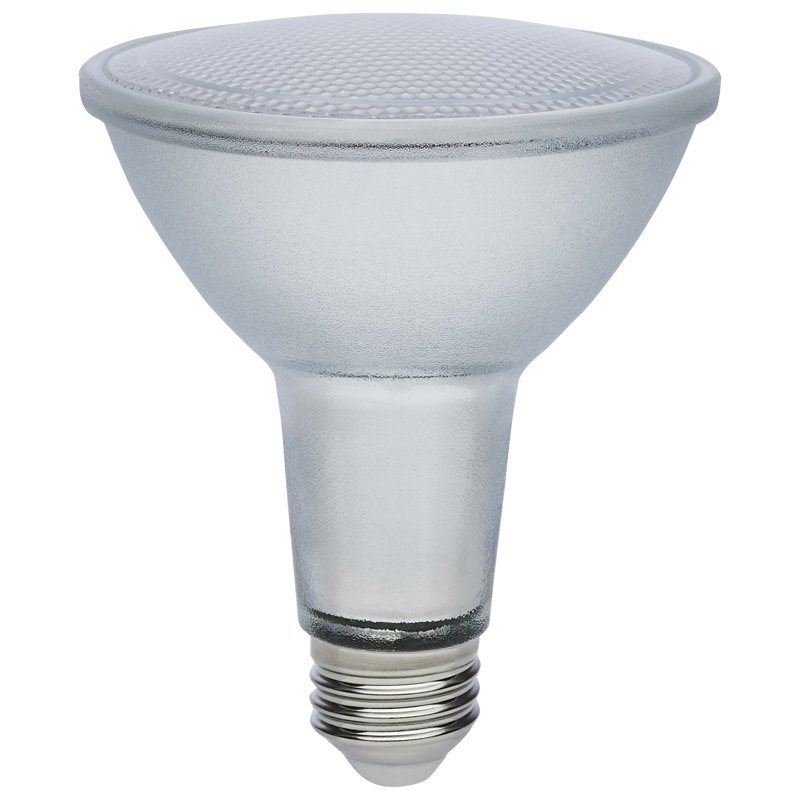 12 Bulb, 5000K