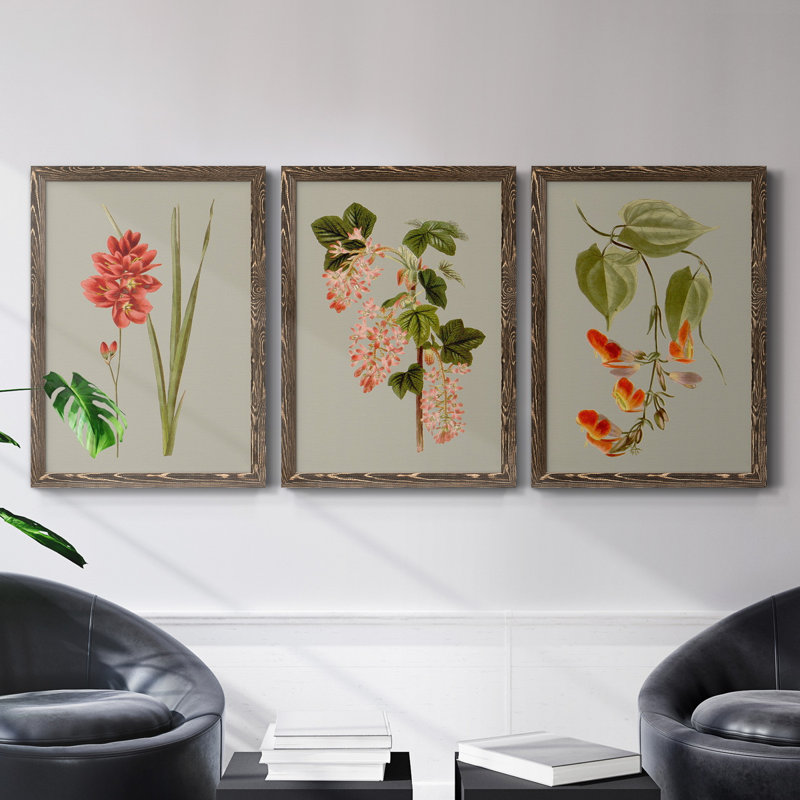 «Botanical Array IV», ensemble de 3 reproductions d'art sur toile, Noyer, H 43,5 po x l 31,5 po x P 1 po