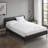 1 PCS Heated Mattress Pad With Dual Temperature Control For Ultimate Comfort And Warmth-1994189801