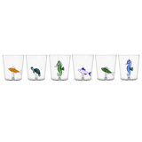 Marine Garden - Set 6 Pcs Tumbler Assorted New (IC354.200 - IC354.201 - IC354.220 - IC354.221 - IC354.204 - IC354.205) 11.8 Oz