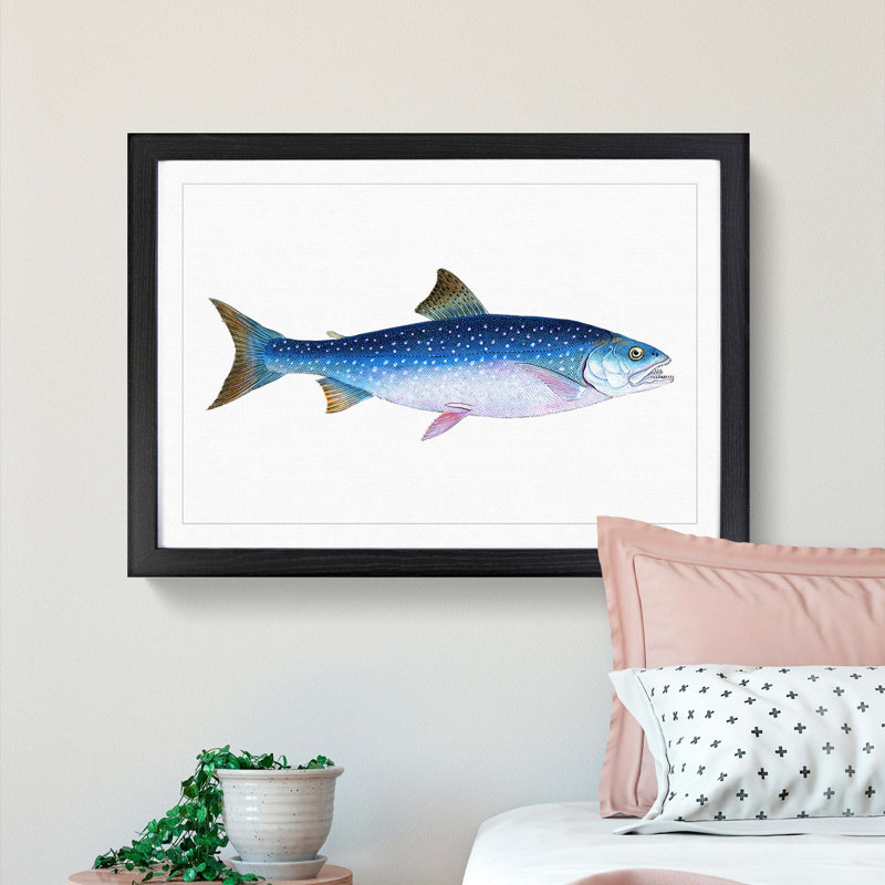 Alpine Charr Fish 1 Piece Single Picture Frame Painting, 24cm H x 33cm W x 2cm D, Black Framed