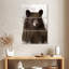 Ours brun de Brampt-117480017