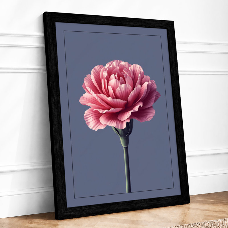 Pink Carnation Study Botanical - Framed Print, A2 - 59.4 x 42.0 cm, Black