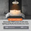 Aashini 13'' Ceiling Fan with LED Lights