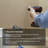 Kohler Aquifer Single Cartridge Water Filtration System