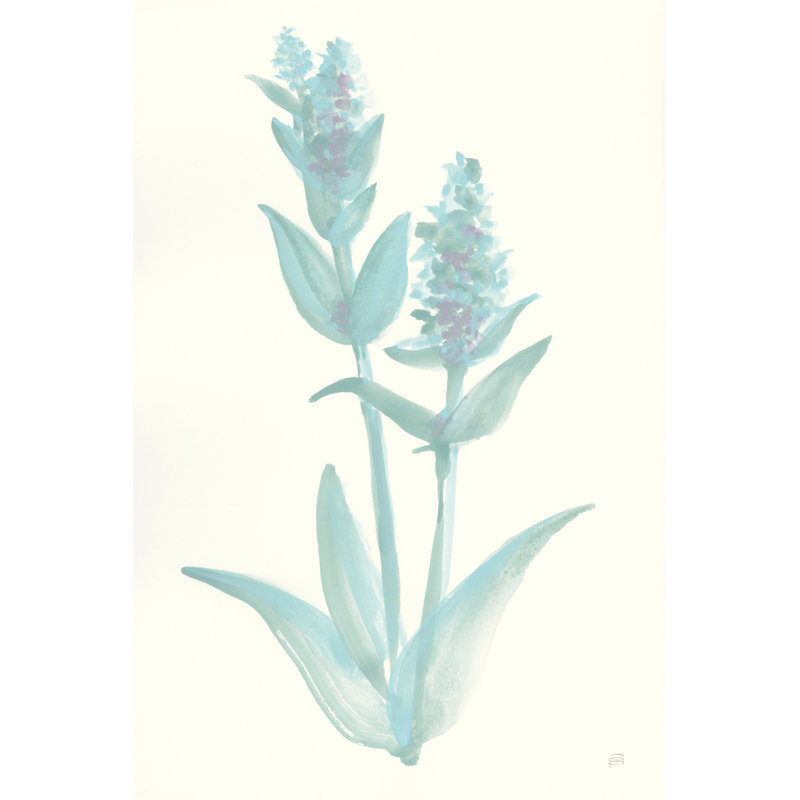 Lambs Ear Sage I by Chris Paschke - Wrapped Canvas Painting, 76cm H x 51cm W