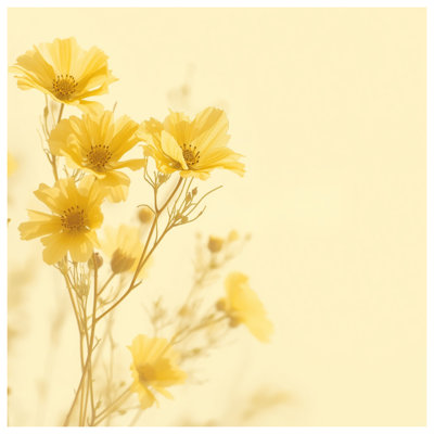 Yellow Cosmos Flowers Quilted Bedspread All Sizes