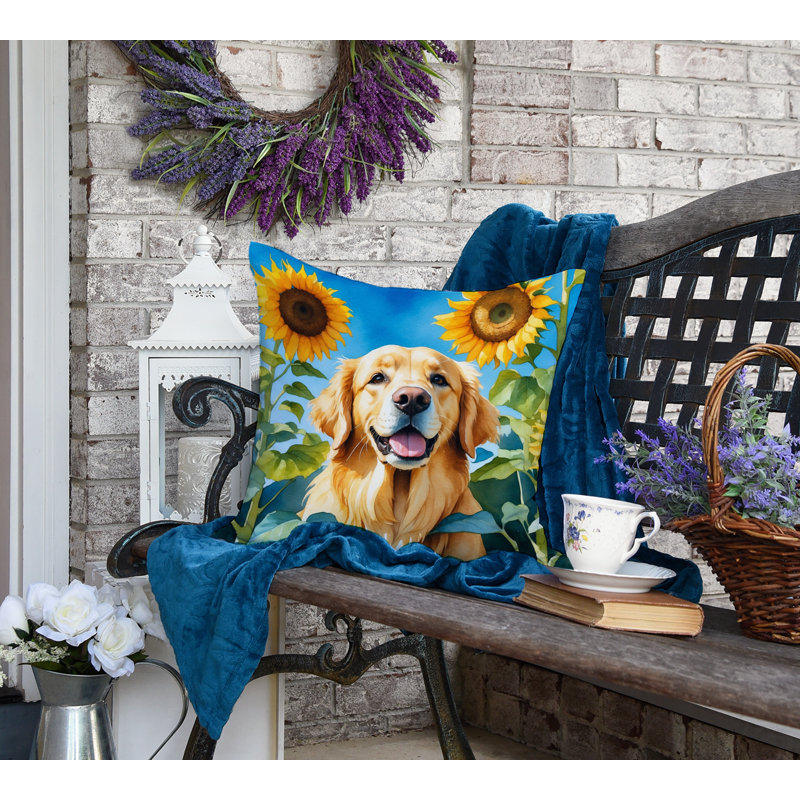 Other/No Pattern Outdoor Throw Pillow, 18" H x 18" W