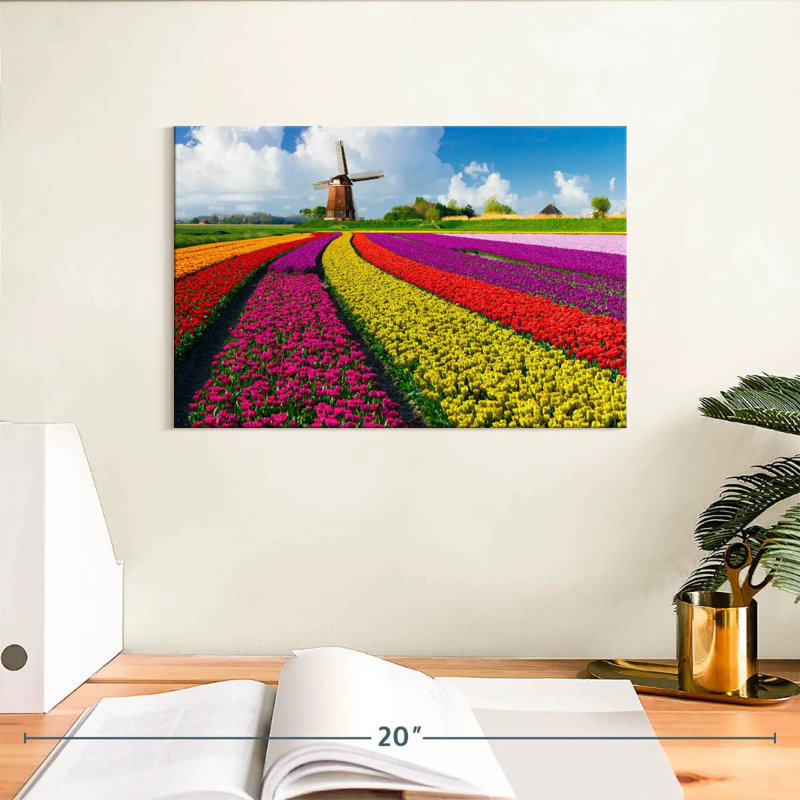 Harnek Windmill In Tulip Fields