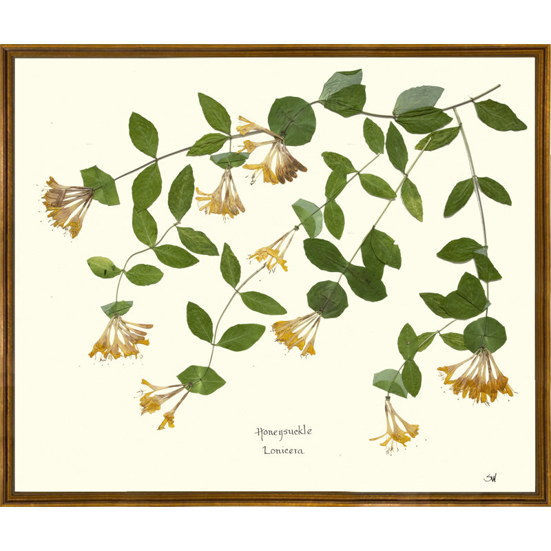Plants & Flowers Print