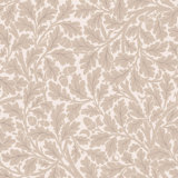 QUERCUS Wallpaper - Astrantia 9'10" - full height wallpaper