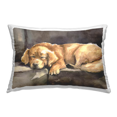 Coussin décoratif Sleeping Golden Retriever par George Dyachenko