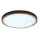 Ceiling light
