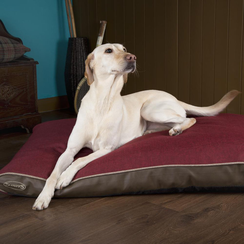 Hilton Orthopedic Polyester Pet Bed, 8cm H x 125cm W x 75cm D, Red/Saddle Brown