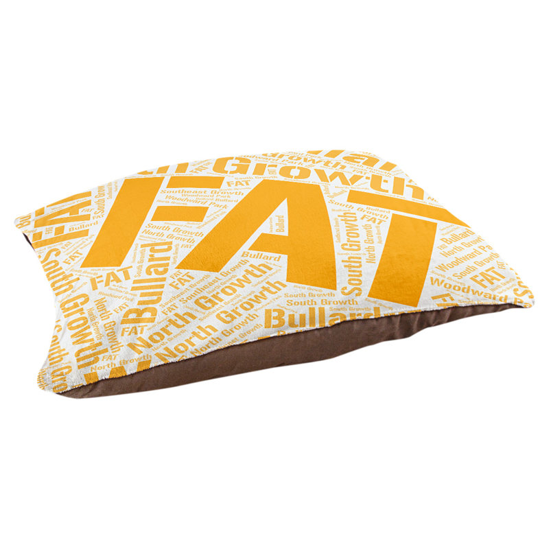 Coussin de chien « districts », Grand (l 40 po x P 30 po x H 14 po), Orange, Fresno