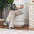 Celinka Upholstered Ottoman-1756635622