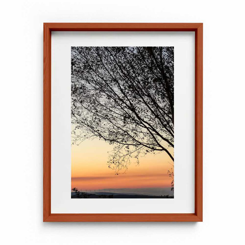 Sunset Tree Print by Joseph Regan, Cherry, 16" H x 14" W x 0.75" D
