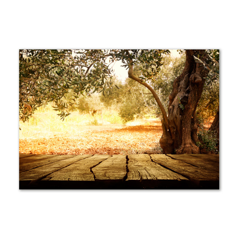 Olive Tree - Print, Glass, 70cm H x 100cm W x 4cm D