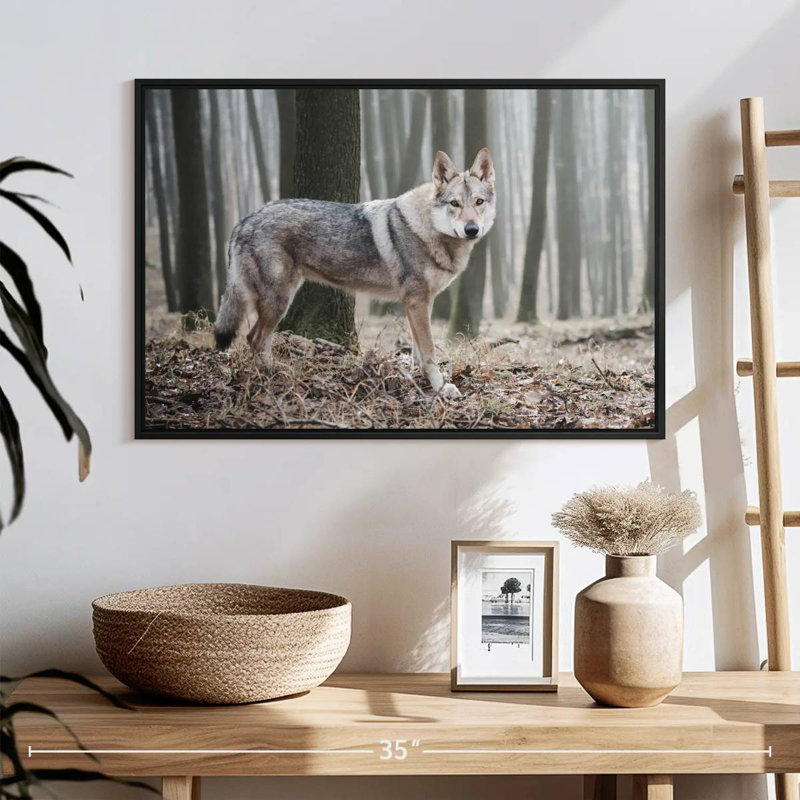 Loup d'hiver brumeux, 25 po x 17 po, Cadre flottant noir