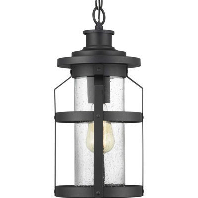 Haslett Outdoor Hanging Lantern