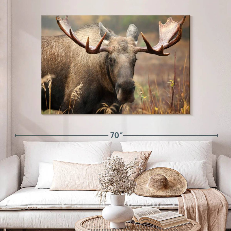 Brampt Male Moose, 34" H x 51" W