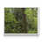 Blanc n'est pas disponible