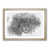 Oak