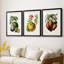 Fruit of the Tropics IV - reproduction sur mesure encadrée de qualité supérieure - 3 pièces-672061409-672061408