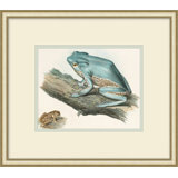 Naturalist Frog 2 Painting