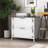 office storage cabinet with two drawers