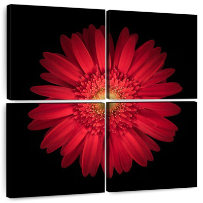 Harnek Bright Red Daisy