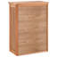 Alyicia Solid Wood Bathroom Cabinet