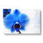 Blue Orchid In Abstract - Wrapped Canvas-55361970